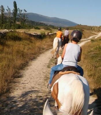 Yeguada Los Monteros.