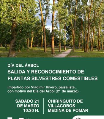 56bQR9cmG3HHDRjVKL1mpF3QVct9bHmh.jpg.