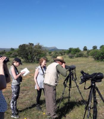 Molino del Canto Birding.