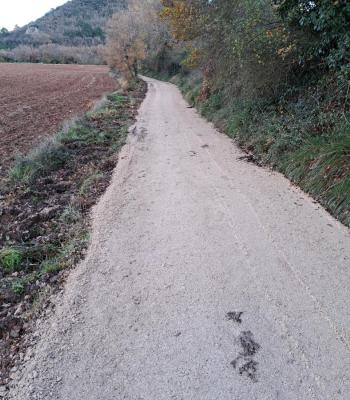Vía Ciclista. Camino a Quintanaseca.