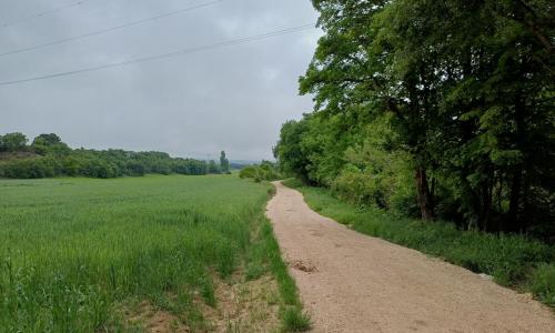Vía Ciclista -  Camino del Jerea