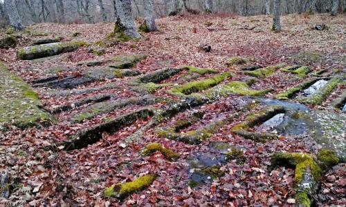 Necrópolis de S. Félix o Villabáscones