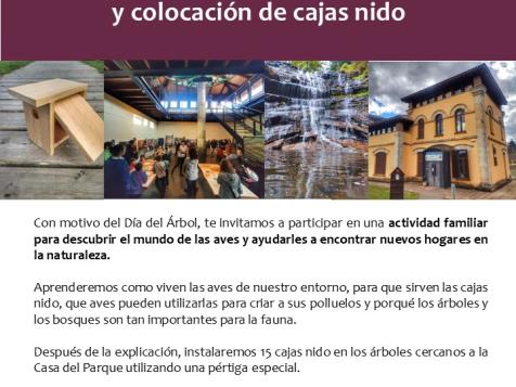 Taller familiar por el Día del Árbol: descubrir las aves y ayudarles a encontrar hogar