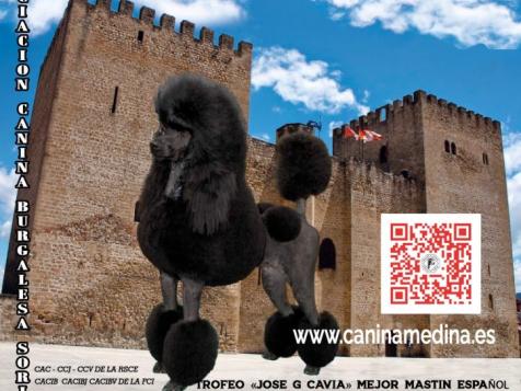 XXXV INTERNACIONAL Y XXXVIII NACIONAL EXPOSICIÓN CANINA