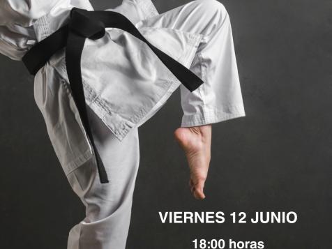 Exhibición de Karate Exhibición de Karate