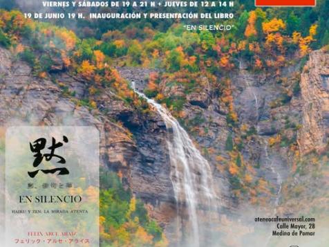 Exposición "La mirada atenta" Fotografía Y'haiku. Exposición "La mirada atenta" Fotografía Y'haiku.