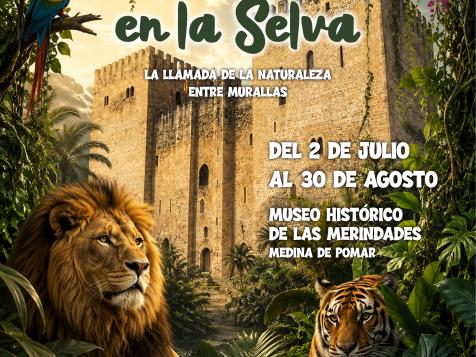 AVENTURA EN LA SELVA AVENTURA EN LA SELVA
