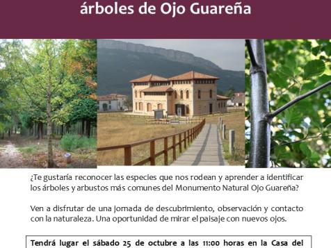 Taller de iniciación al conocimiento de los árboles y arbustos de Ojo Guareña
