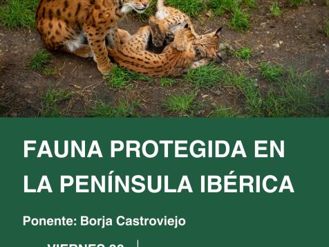 CHARLA: "FAUNA PROTEGIDA EN LA PENÍNSULA IBÉRICA"