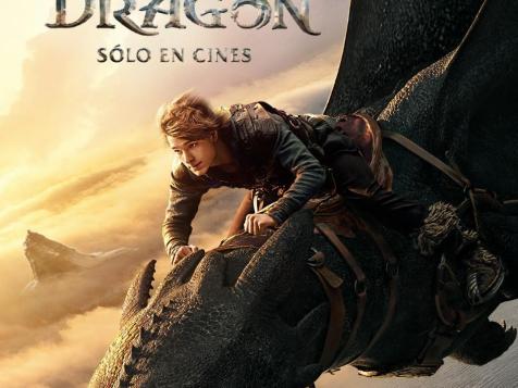 Cómo entrenar a tu dragón