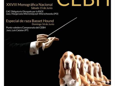 XXXVIII Monografía Nacional del Club Español del Basset Hound 
