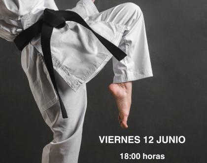 Exhibición de Karate